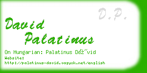 david palatinus business card